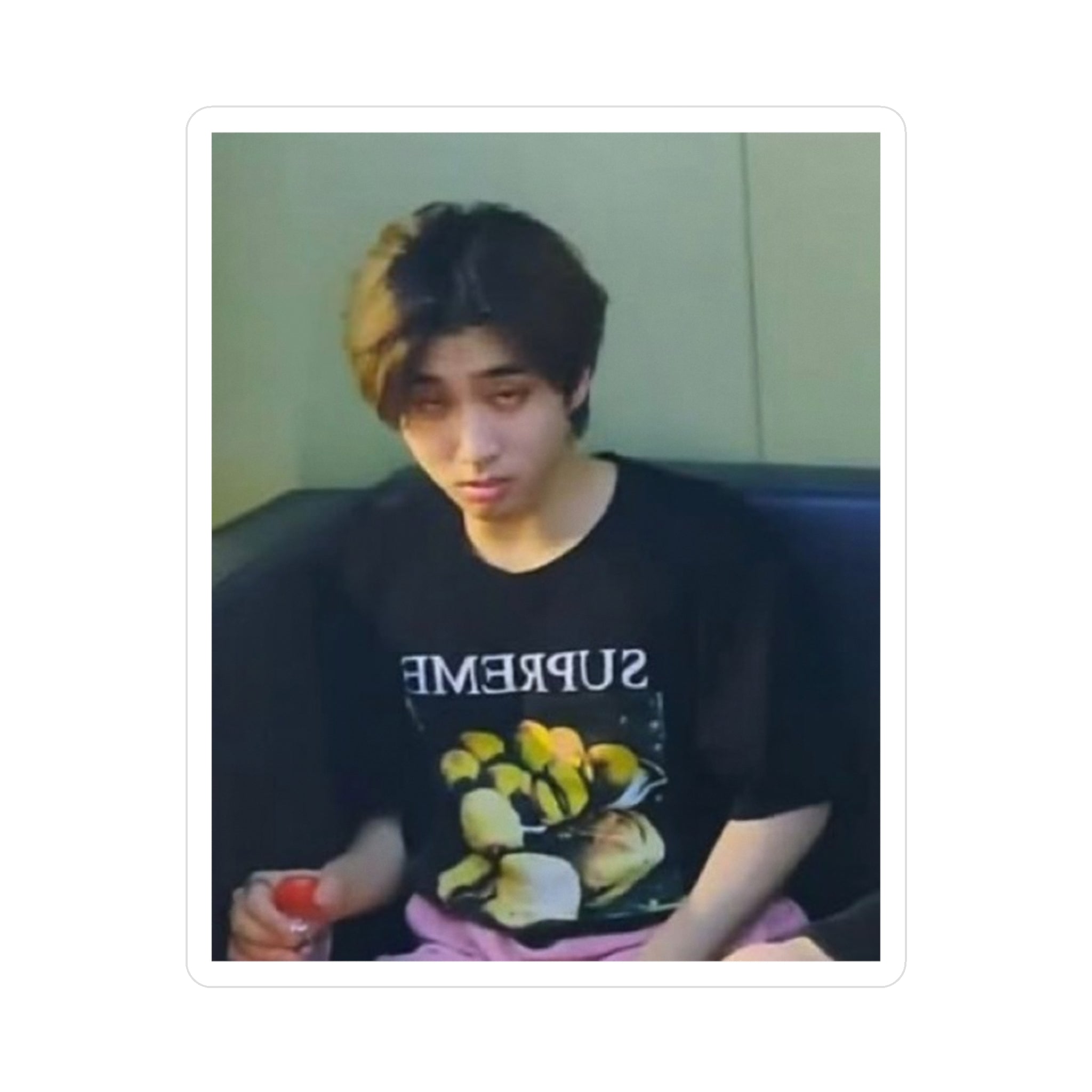 Kiss-Cut Vinyl Decal — Retro Portrait Sticker (Person Photo)