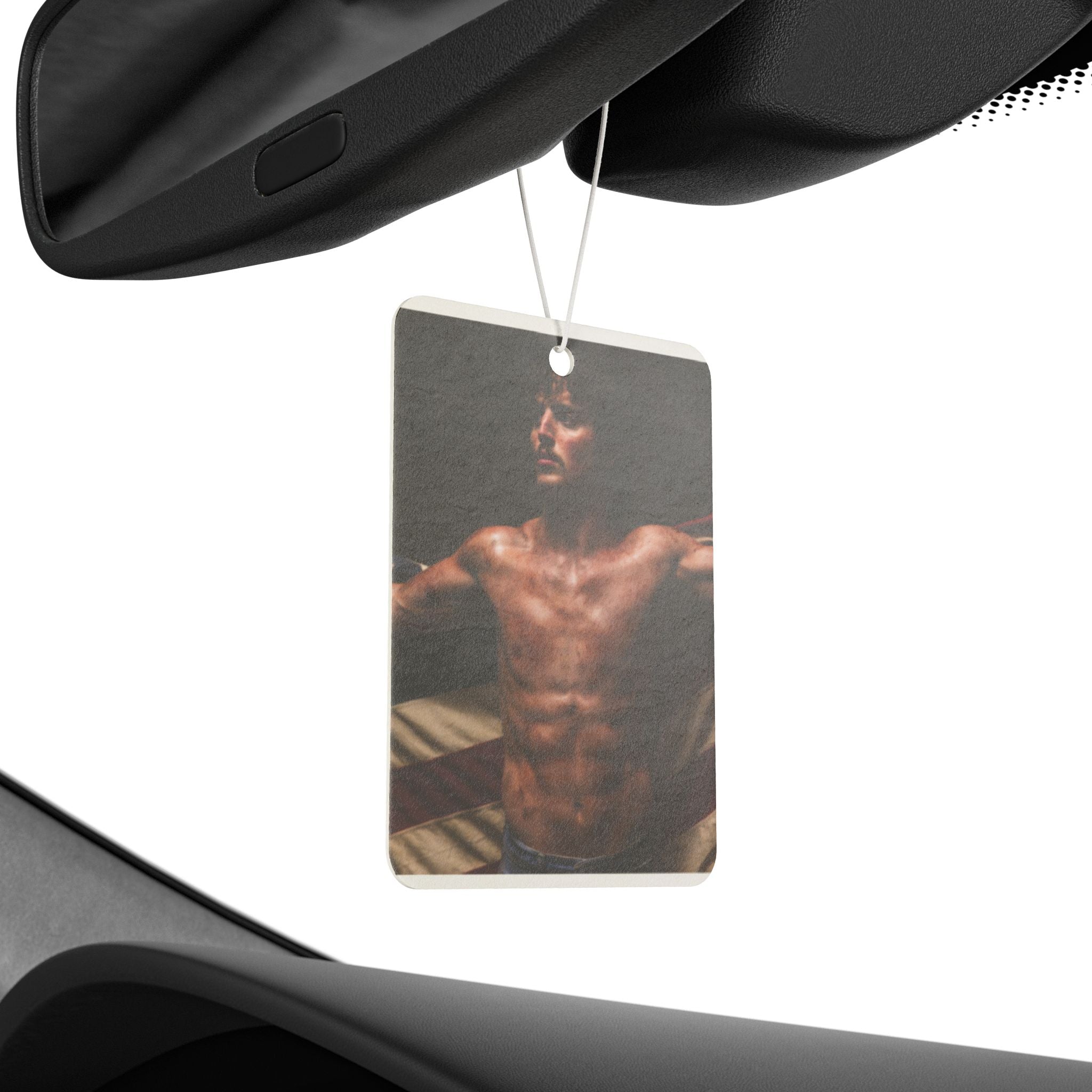 Stylish Car Air Freshener, Aromatic Car Accessory, Customizable Gift for Him, Birthday Gift, Freshen Up Your Ride, Road Trip Essential